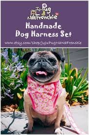 Pug Harness Frenchie Harness Daisy Girl Dog Harness