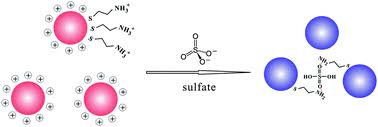 28 matches found for gold sulfate. Colorimetric Assay For Sulfate Using Positively Charged Gold Nanoparticles And Its Application For Real Time Monitoring Of Redox Process Analyst Rsc Publishing