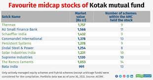 stocks that the largest mutual fund