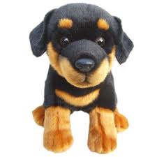 stuffed rottweiler dog flash