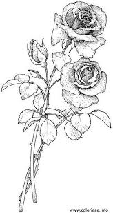 Play thenet coloriage animal page 3 dessins en noir et. Coloriage Deux Roses Dessin Dessin Rose A Imprimer