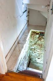 cat door basement stairs off 67