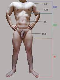 File:Japanese Male Body.jpg - Wikimedia Commons