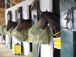 horse barn plans