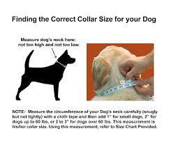 Nylon Reflective Dog Collar