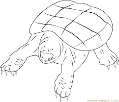 These spring coloring pages are sure to get the kids in the mood for warmer weather. Snapping Turtle Coloring Page For Kids Free Turtle Printable Coloring Pages Online For Kids Coloringpages101 Com Coloring Pages For Kids