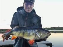 Vilken är den största fisken i Sverige?