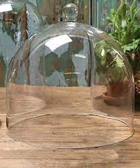 Glass Dome Glass Cloche Glass Domes