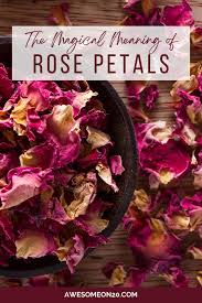 the magical meaning of rose petals