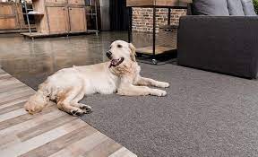 6 dog proof flooring options that will