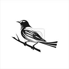 bird logo vector design icon posters
