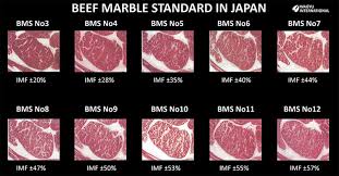 Wagyu Vs Kobe Beef Definitive Guide To Japanese Beef