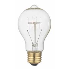 Nostalgic Vintage Edison Carbon Filament Light Bulb 40 Watts 2400k 40a19 Filament Destination Lighting