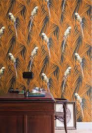 khroma wallpaper cabinet of curiosities