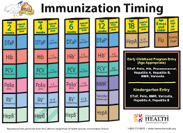 Cdc Immunization Chart 2019