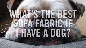 dog friendly sofa fabrics pet