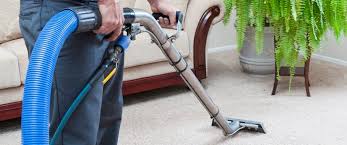 home grove steam carpet cleaning