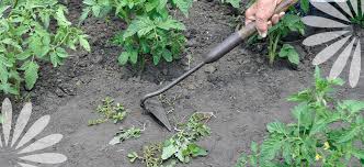 Keep Weeds Out Of The Garden Naturally