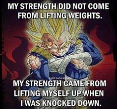 When it comes to the colorful characters of dragon ball, vegeta's quotability level is beyond any other. Dbz Quotes About Hard Work 543 Best Dragon Ball Z Images Dragon Ball Z Dragon Ball Dragon Dogtrainingobedienceschool Com