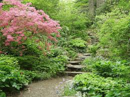 17 best botanical gardens in boston