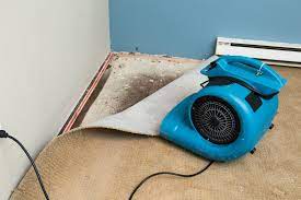 water damage cleanup regarding your