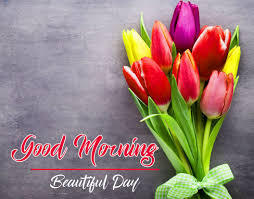 good morning flowers wallpapers