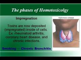 Homotoxicology And Holistic Health