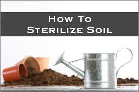 Sterilize Soil Organic Potting Mix