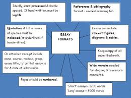    best Essay Writing images on Pinterest   Teaching writing     Great tips for writing essays in college 