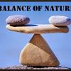 The Balance Of Nature
