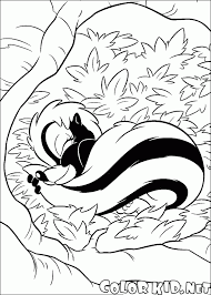 Click the download button to find out the full image of cute skunk coloring pages download, and download it for a computer. Coloring Page Skunk On Vacation