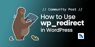 how to use wp redirect in wordpress