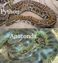 Anaconda: Biggest Snake in the World