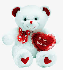 valentine teddy bear transpa