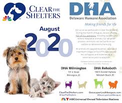 If you adopt a free cat, you'll have to cover all of this yourself, and that cost will be more than the adoption fee you'd pay to the shelter. Clear The Shelters 2020 Delaware Humane Association