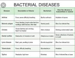 A Chart About Infectious Bacteria And The Disease Caused Bye