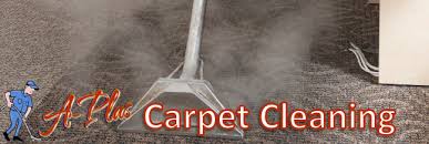 best carpet cleaner in indianapolis a