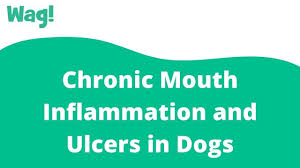 chronic mouth inflammation and ulcers