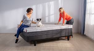 Layla Bed Frame Twin Size Zero Motion Silent Easy To Assemble
