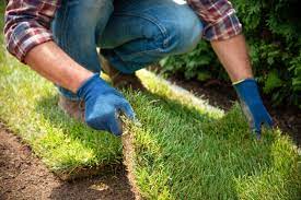 How To Start A New Lawn Sod Or Grass