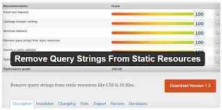 how to remove query strings from static
