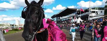 (may 9) afternoon and a serious upset winner secured a spot in this year's elitloppet. Elitloppet 2021 28 30 Maj Solvalla Travbana