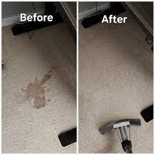 stain removal carpet victoria b c