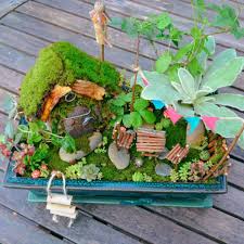 fairy garden with succulents and cacti