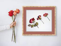 how to frame pressed flowers 5 easy