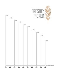 Sizing Freshly Picked Moccasins 2 Shoe Size Chart