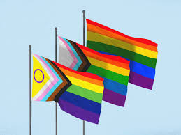 the pride flag has a representation