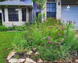 Pruning Native Plants In Summer
