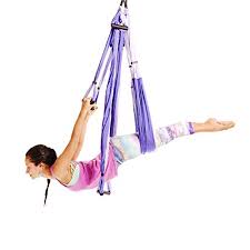 Yogabody Yoga Trapeze Yoga Swing Sling Inversion Tool Purple