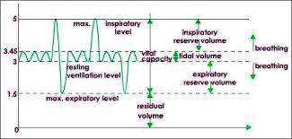understanding lung volumes and lung
